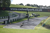 Advanced Group Yellow Bikes